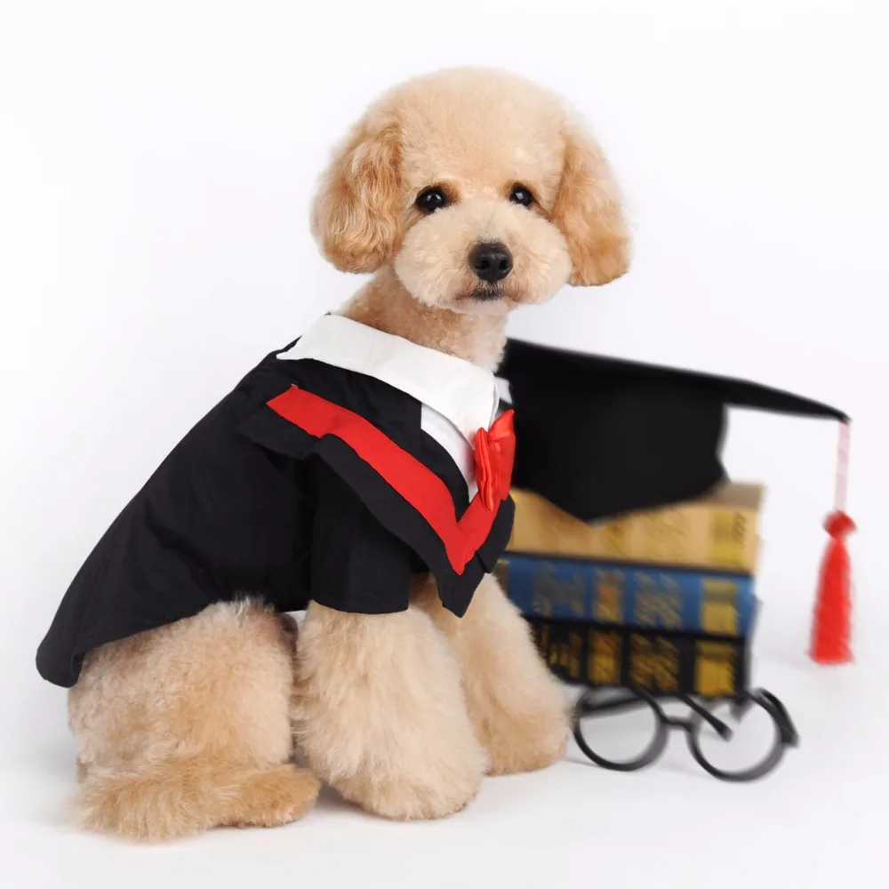 Dog clothes pet clothes graduation doctor suit turned dog dress