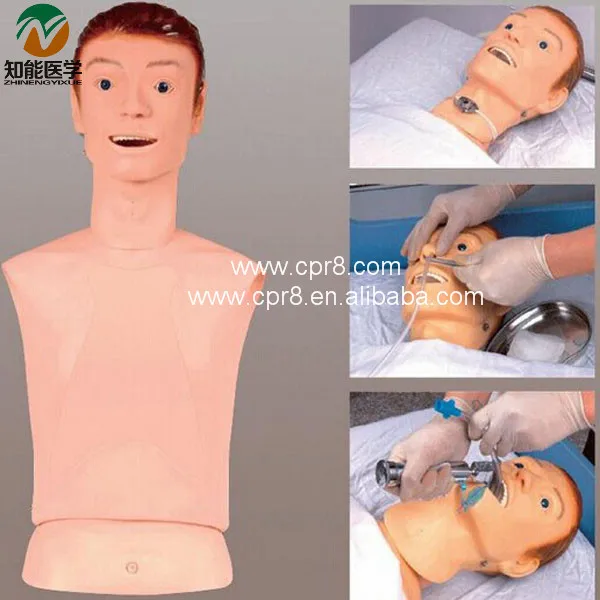 

Advanced Nasogastric Tube And The Trachea Nursing Model BIX-H70/1 W148