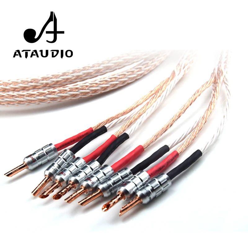 ATAUDIO 12TC Hifi Speaker Cable With 2 Banana Plug to 4 Banana Jack Hi-end OCC Speaker Wire