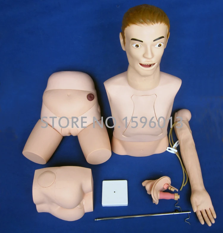 

Hot Basic Nursing Manikin, Combined Nursing Simulators,Catheterization Venipuncture Training and Buttock Injection model