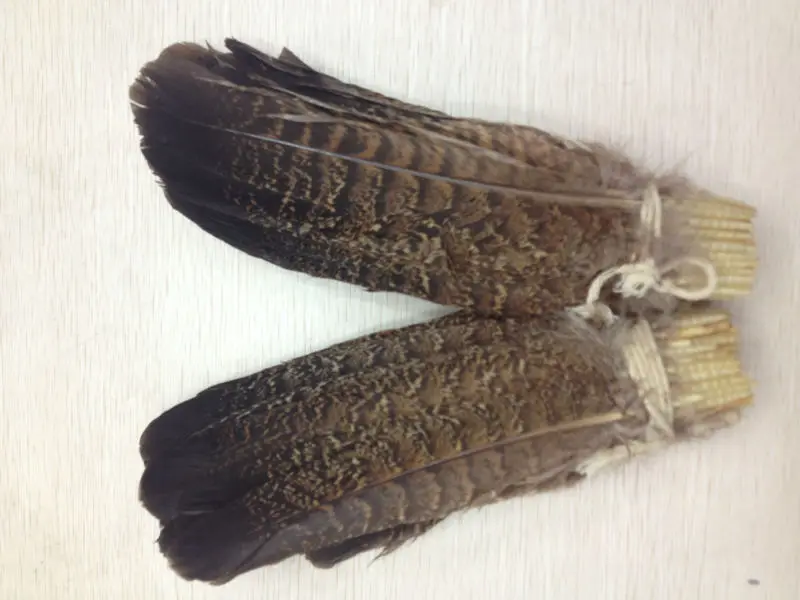 wholesale high quality 10pcs natural eagle feather 20-25cm / 8-10inch various decorative diy collect