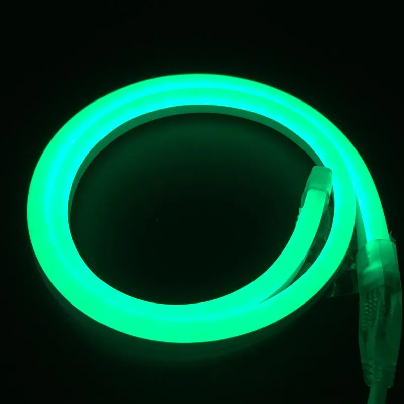 1-10m Outdoor&Indoor LED Lighting Flex LED Neon Light SMD 2835 120leds/m LED Neon Strip rope Light Waterproof 220V power plug