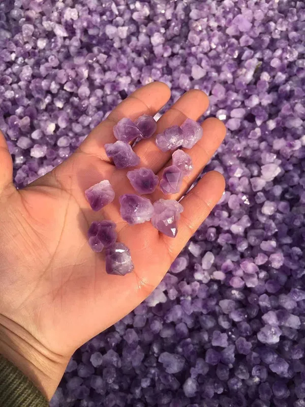 Natural Rough Specimen Amethyst Point Quartz Wolf Teeth Wand Crystal Natural stones and minerals Fish tank stone 10pcs/lot