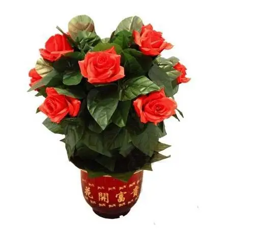 

Remote-Control Blooming Flower Bush 10 Flowers,Stage Magic Tricks,Party Magic Show,Fun,Accessories,Mentalism,Comedy