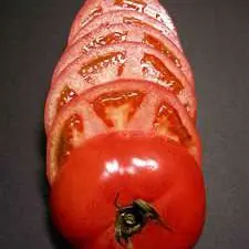 BPLH-HT4 دليل الطماطم القاطع الفولاذ المقاوم للصدأ الخضار تقطيع عملية سهلة همبرغر سلطة