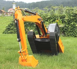 1/12 Scale RC Hydraulic Excavator(1/12 Earth Digger 4200XL Hydraulic Excavator)