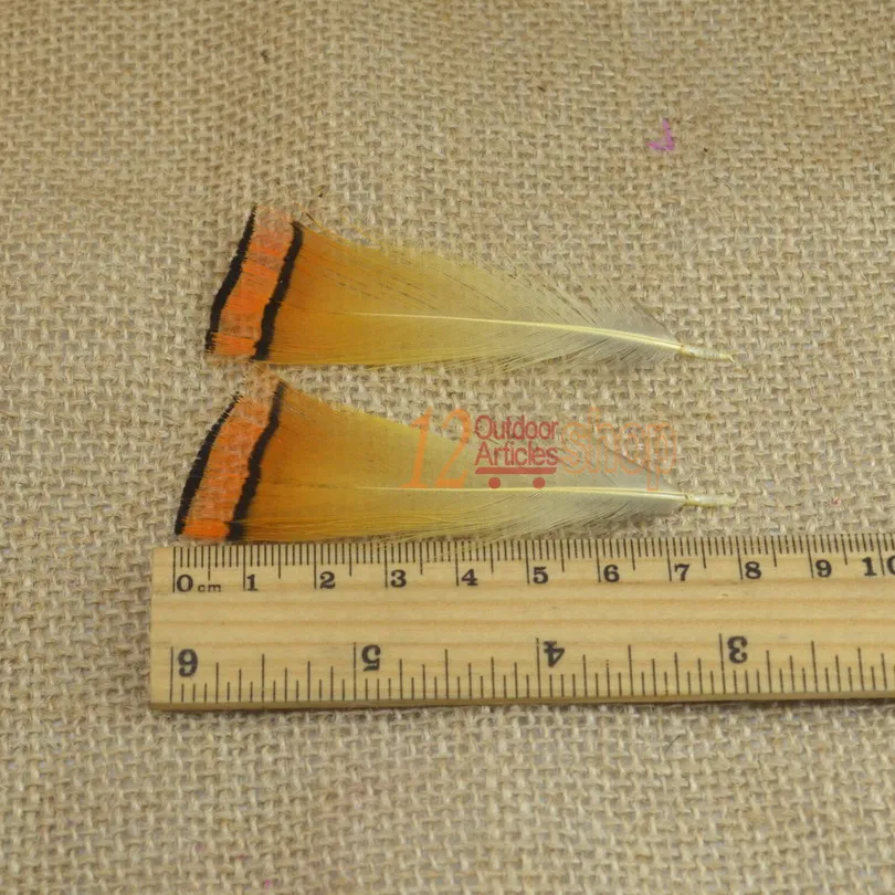 MNFT Plumas de Faisán Dorado Real para Atar Moscas – Calidad Premium - imagen 5
