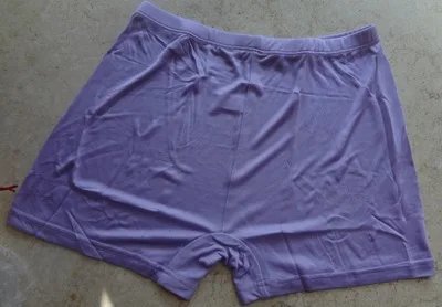 Waist ms boxer briefs comfortable boxers in the new silk underwear 100% mulberry silk lingerie (bigger sizes)