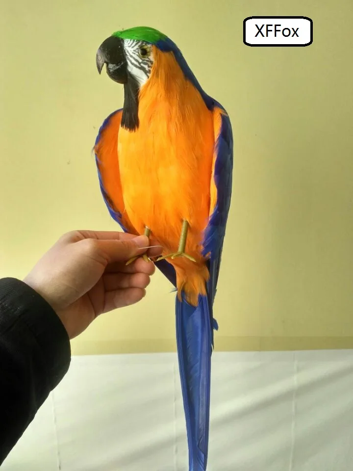 big real life blue&orange parrot model foam&feather simulation little wings parrot bird gift about 45cm xf0173