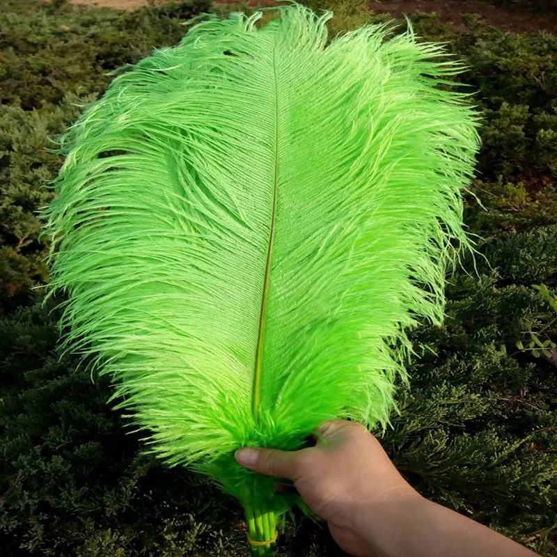 

Ostrich feathers Wholesale discount green ostrich feathers 12-14 inch 100PCS / pieces wedding party dress headdress decoration