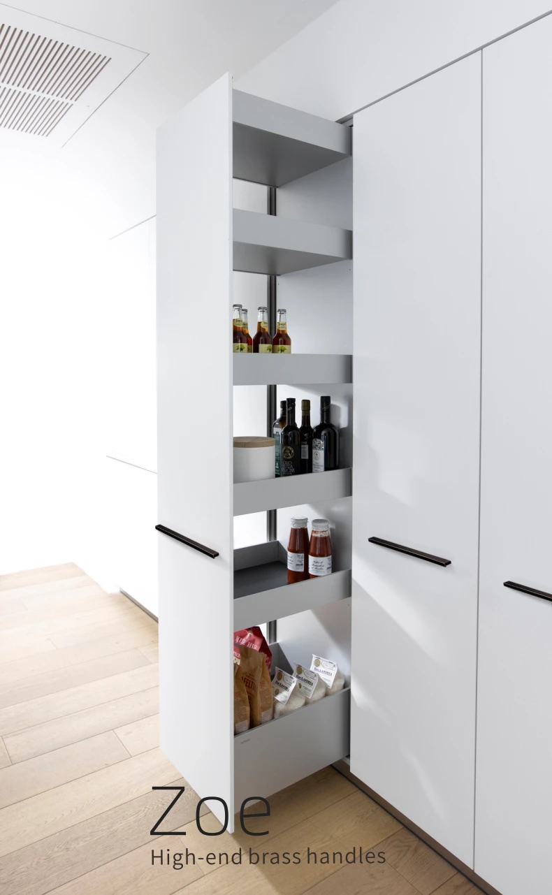 Dooroom Messing-Möbelgriffe Lange Schrank-, Kommoden-, Schubladen- und Türgriffe Großhandel verfügbar – Detail 6