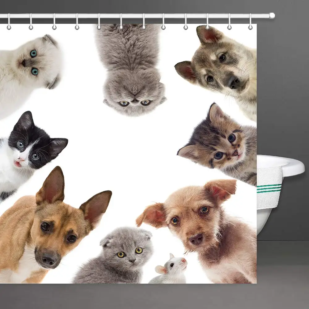 Cat and Dogs Shower Curtain for Bathroom Kitten and Puppy Domestic Home Pets Friends Cute Hilarious Expressions Collage