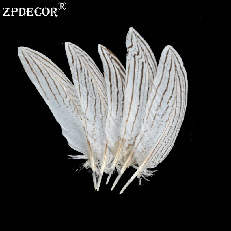 ZPDECOR-Silver Pheasant Tail Feathers, Color, Custom, 10-15 cm, 4-6 Inch