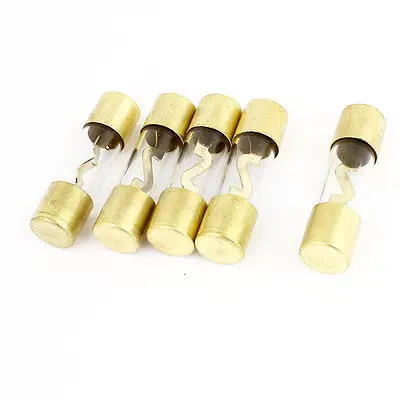 SENKA ELECTRIC Vehicle Car Gold Tone Clear Body Safety AGU Glass Tube A Class Fuse 40A 12V x 5