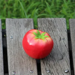 Emulation Foam Tomato Vegetable Simulation Fake Fruit Toys Food Play House Toy Children Kitchen Decorate Teaching Aid Child 2021