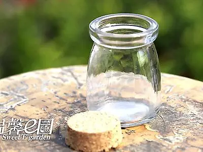 

Clear Empty Glass Micro Landscape Vials Wish Bottles with Cork 75mm Fairy Garden