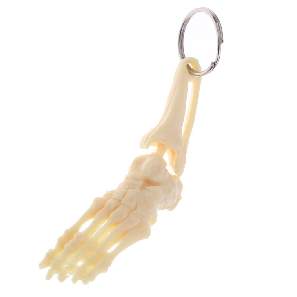 Halloween Mini Human Foot & Ankle Joint Skeleton Model Keychain Key Ring Bag Pendant Collectibles Gift Halloween Party Favors