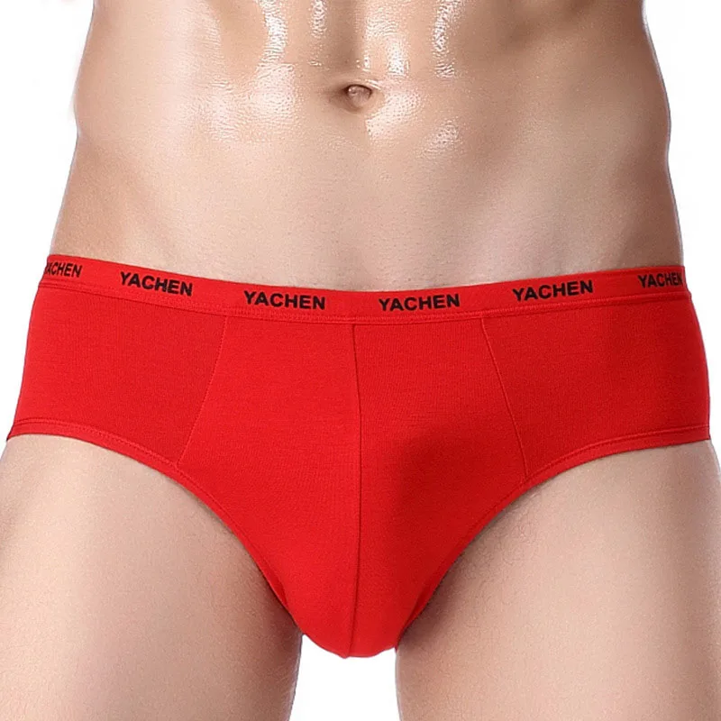 Calzoncillos transpirables de fibra de bambú para hombre, ropa interior Sexy, cómoda, sólida, de alta elasticidad, Cueca