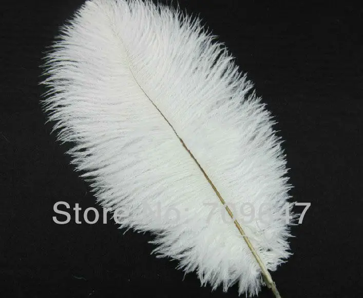 

Wedding Decoration! BEAUTIFUL Wedding White Feathers ,50PCS/lot WHITE OSTRICH FEATHERS 25-30cm 10-12Inches Long