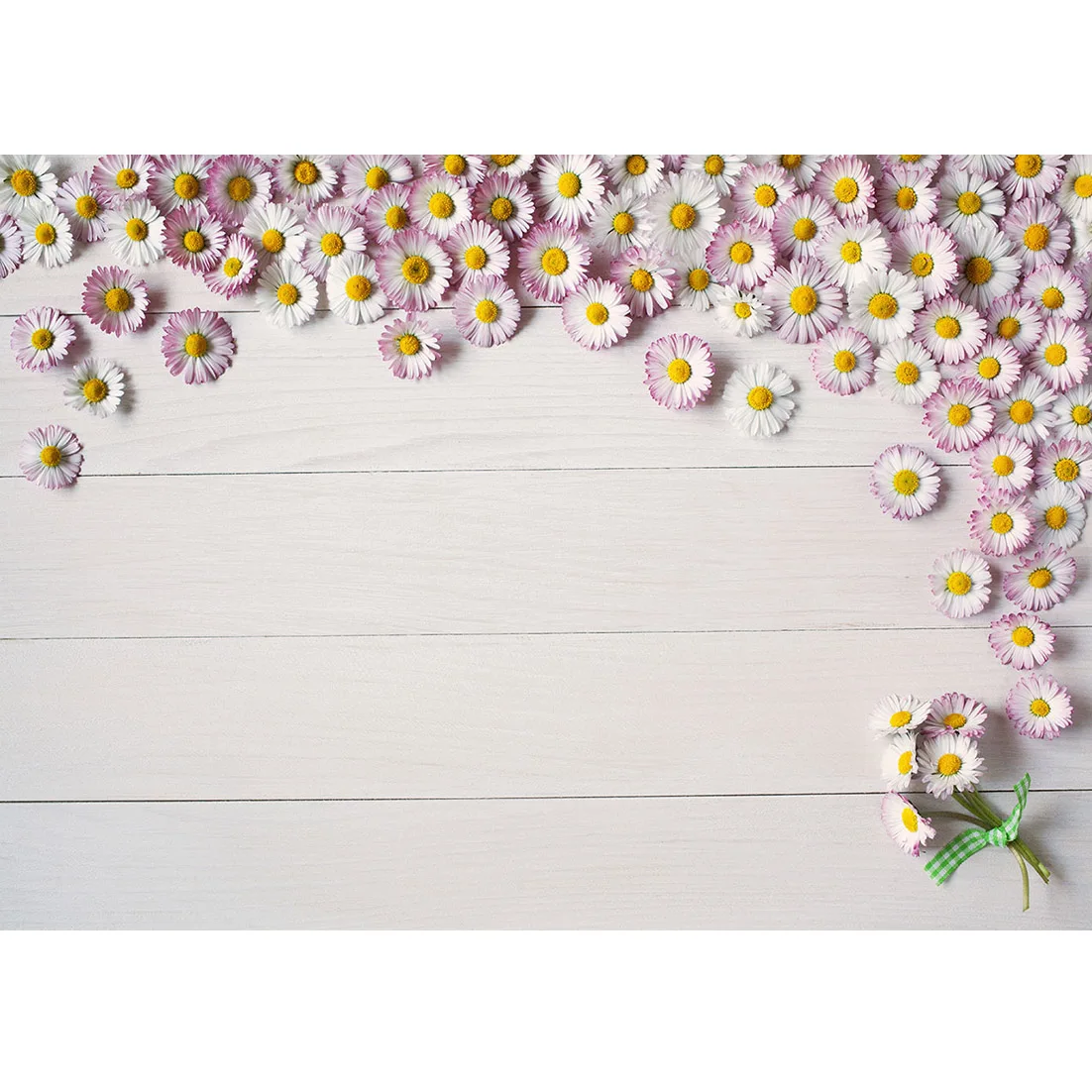 White Daisy Wooden …