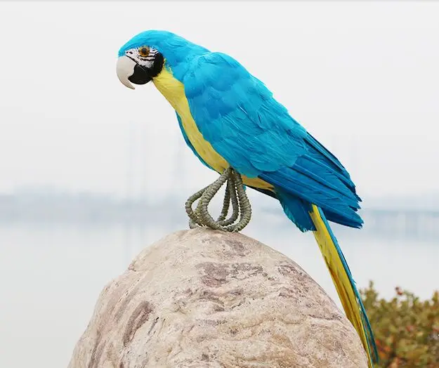 big simulation blue parrot toy foam&furs parrot bird model gift about 45cm 3006