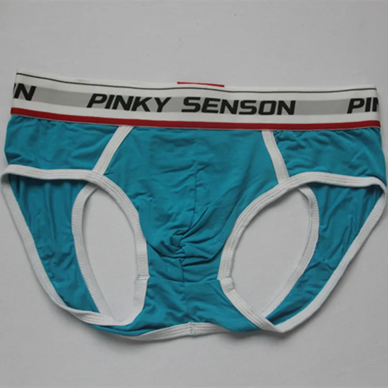 PINKY SENSON 5PCS/LOT Men\'s Three-Dimensional Pouch Cup Underpants Almost Naked Coolflex Briefs Shorts Gay Proud Underwear XXL