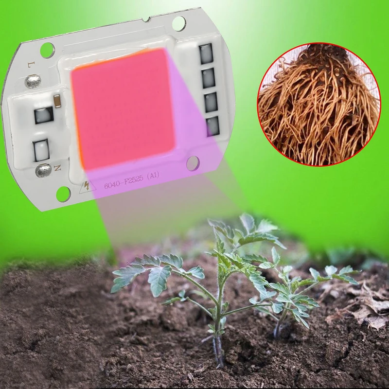 Full Spectrum  COB LED Chip Plant Grow Light Lamp For Garden Hydroponic