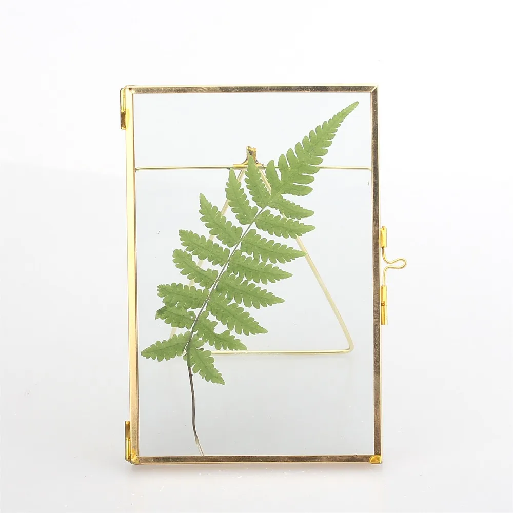 Glass Rectangular Modern Ornament Photo Specimen Frame Vertical Decoration Glass Photo Frame Herbarium Specimens Clip Display