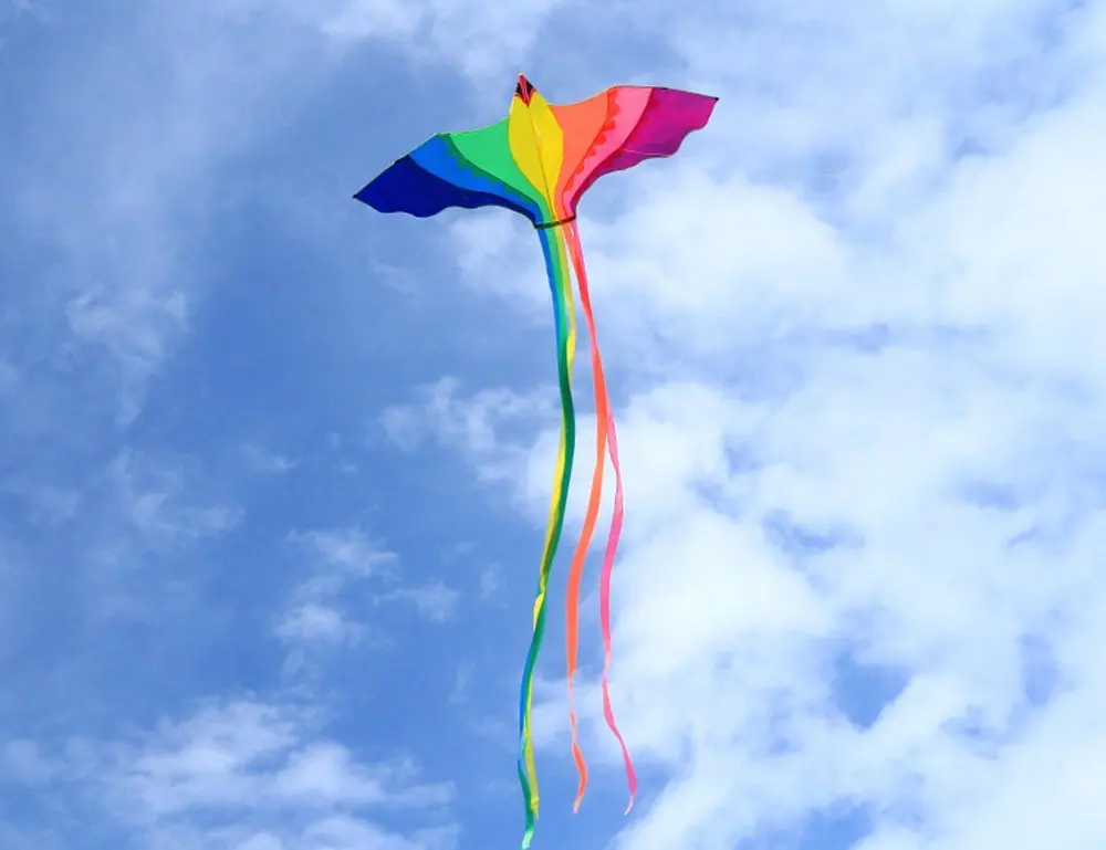 Cerf-volant Phoenix à longue queue colorée pour enfants et adultes, énorme maire intérieur, livré avec ficelle, 74 po