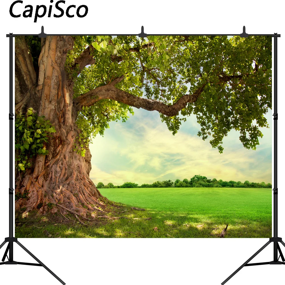 Capisco  Spring backdrop forest woodland meadow Wedding Outdoor photography background photo studio child photophone photocall