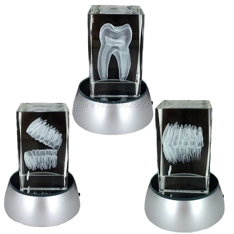 Dental 3D Tooth Model Clear Crystal Stand With LED Lamp Character Teeth Colorful Child Oral Souvenir Gift Decorarion