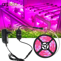 Lámparas LED Phyto de espectro completo, luz de cultivo, 300 LED, 5050 tiras, luces de cultivo para invernadero, planta hidropónica, 5M