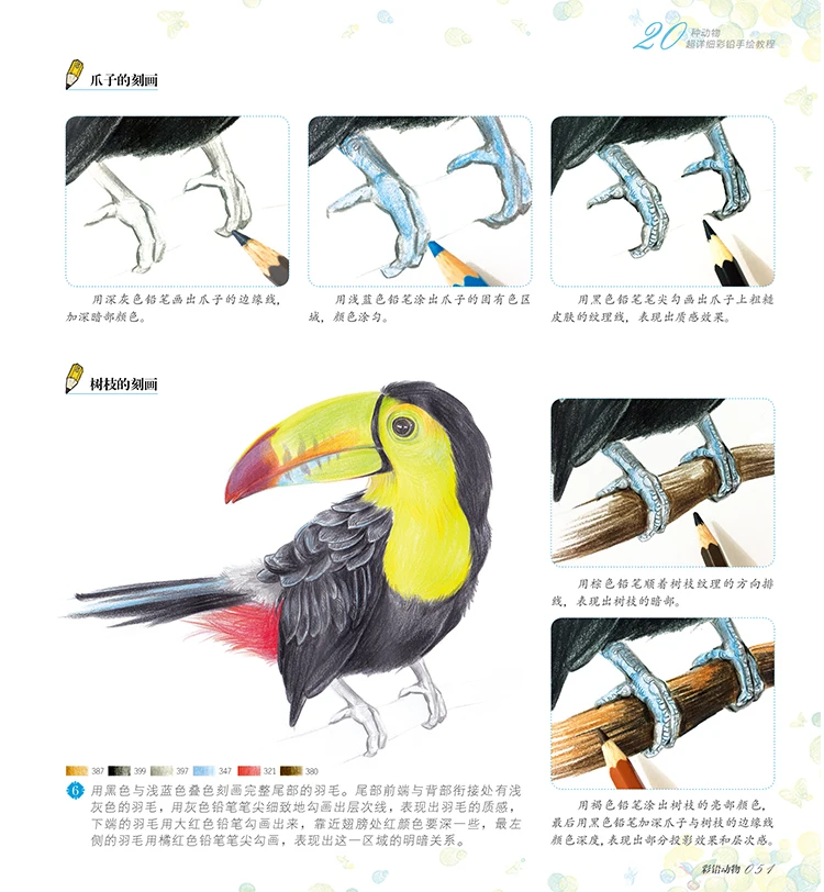 New Color Pencil sketch entry books Chinese line drawing books Animal sketch basic knowledge tutorial book for beginners