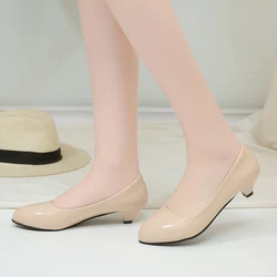 Female Pumps Nude Shallow Mouth Women Shoes Fashion Office Work Wedding Party Shoes Ladies Low Heel Shoes Woman Autumn A00139