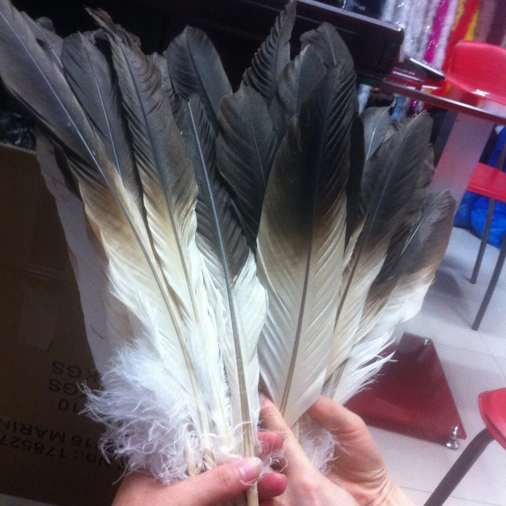 60pcs Perfect a sets carce natural golden eagle feathers 40-50cm