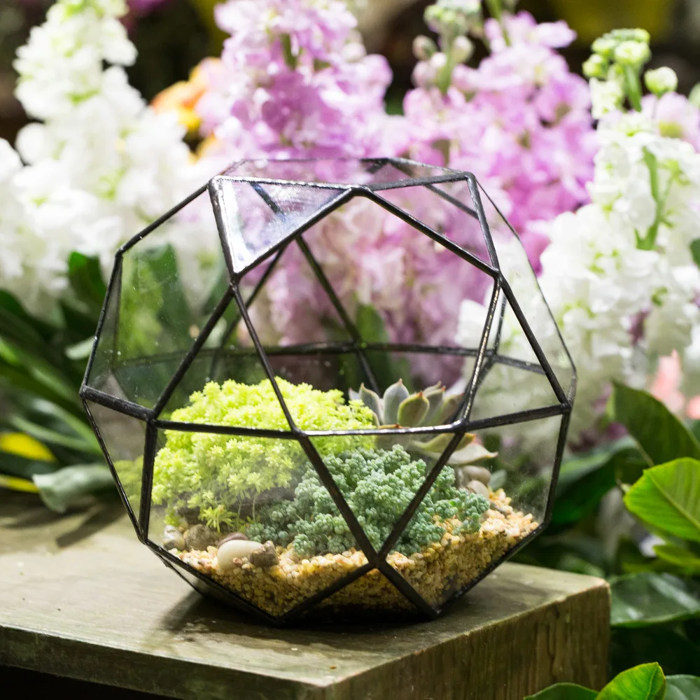 NCYP Glass Flower Pot 32 Sides Geometric Terrarium Desktop Garden Glass Bonsai Planter Pot Container for Flower Succulents Plant