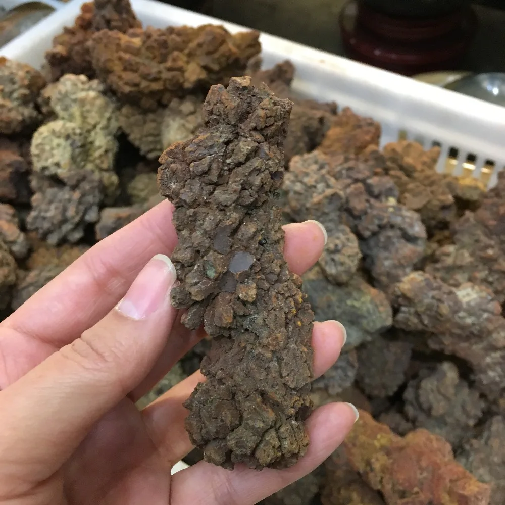 COPROLITE Fossilized Dinosaur Poop Specimen Fossil Madagascar 70-90g