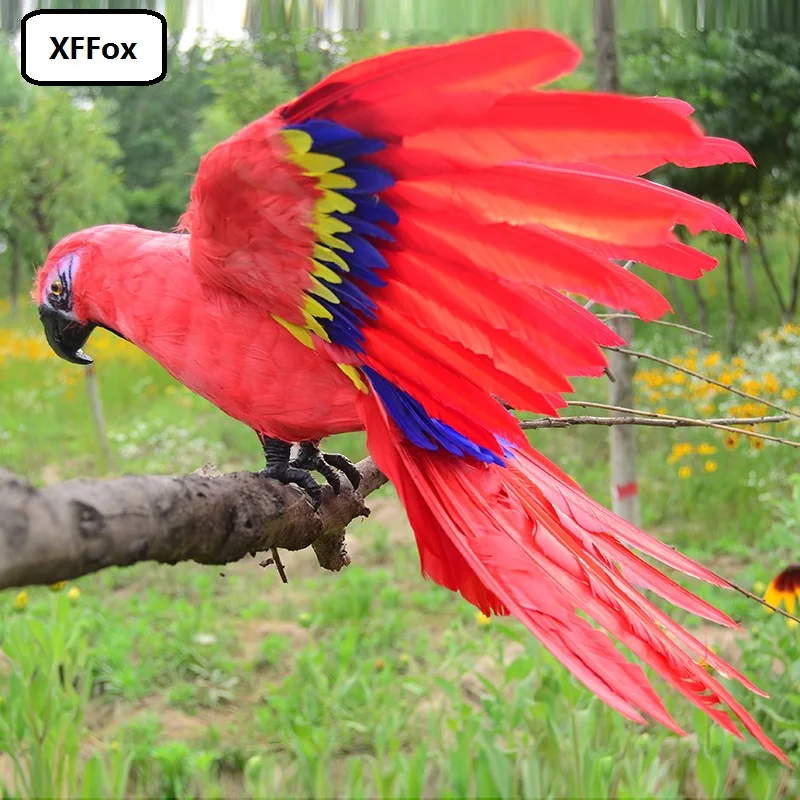 big real life wings parrot model bird foam&feather simulation red parrot doll gift about 45x60cm xf0947