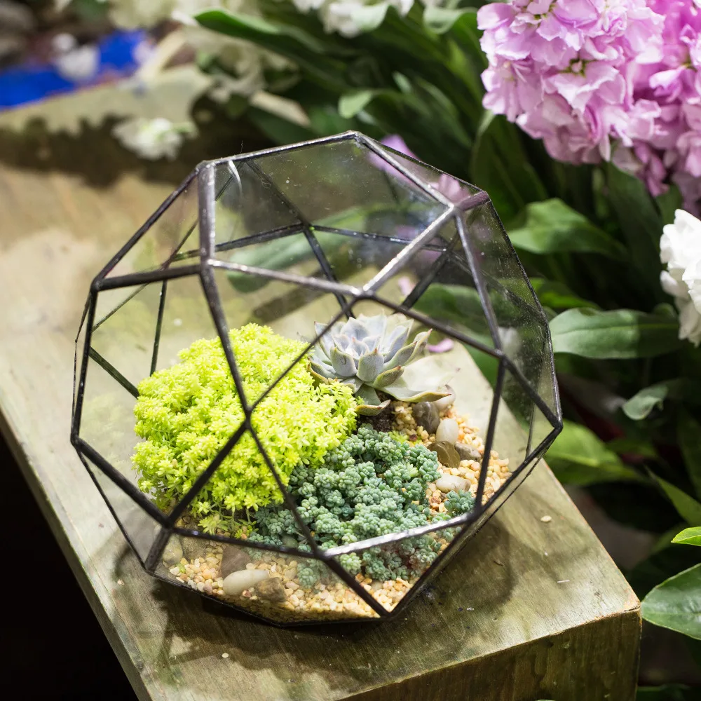 NCYP Glass Flower Pot 32 Sides Geometric Terrarium Desktop Garden Glass Bonsai Planter Pot Container for Flower Succulents Plant