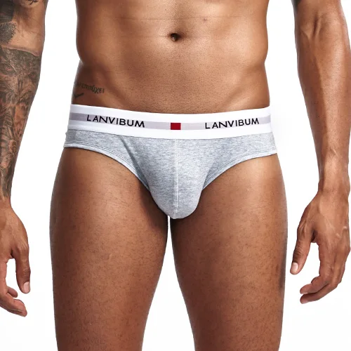 Calzoncillos slip de algodón para hombre, ropa interior, Sexy, transpirable, Gay, 2019