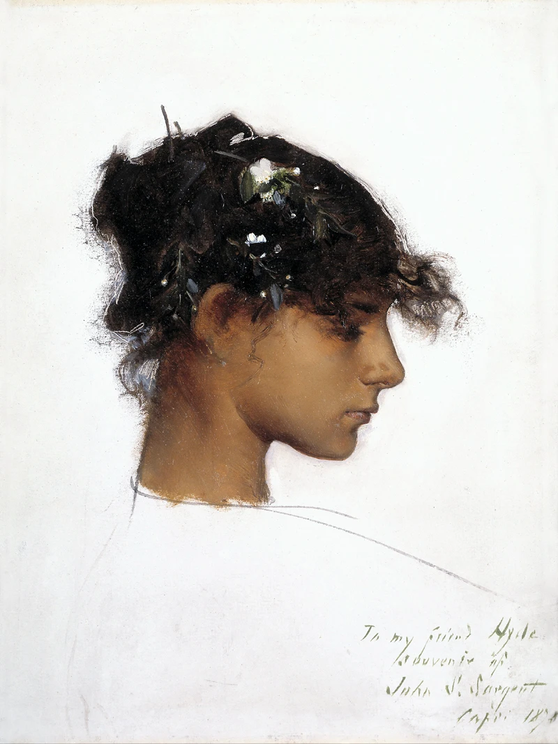 

Rosina Ferrara the Girl 1878 картина плакаты-портреты современное художественное украшение мультяшное изображение эскиз Джон певец серебро
