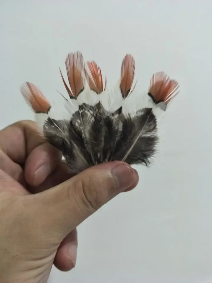 Wholesale perfect 100pcs high quality natural Lady Amherst Pheasant Feathers 2-4inch/5-10cm Decorative diy Jewelry accessories