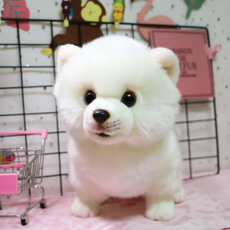 real life toy about 30cm lovely white pomeranian plush toy,soft doll birthday gift h2579