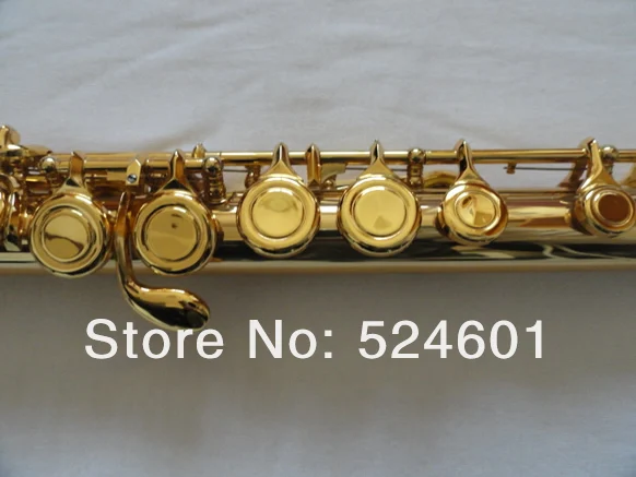 New Arrival Exquisite 16 Holes Plus The E Key Gold Plated Flute Professional Musical Instruments For Students C Tune Flute