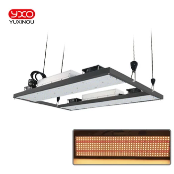 YXO YUXINOU Official Store - Amazing products with exclusive
