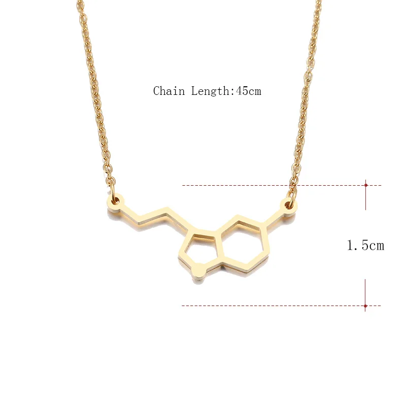 DOTIFI Stainless Steel Necklace For Women erotonin Molecule Chemistry Geometric Polygon Pendant Necklace Engagement Jewelry