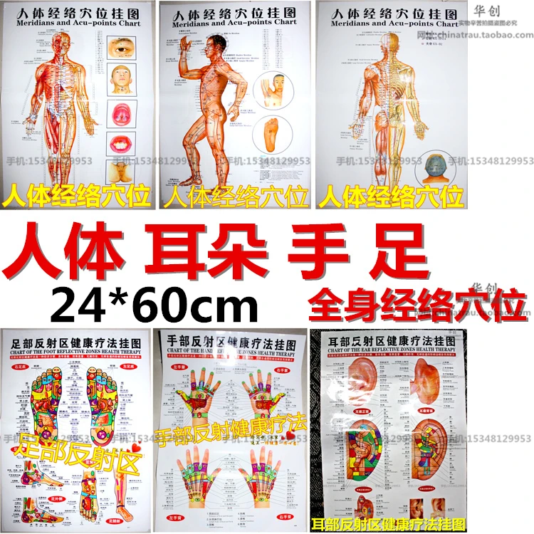 

HD human body acupuncture point meridian full set of standard full-body massage health care