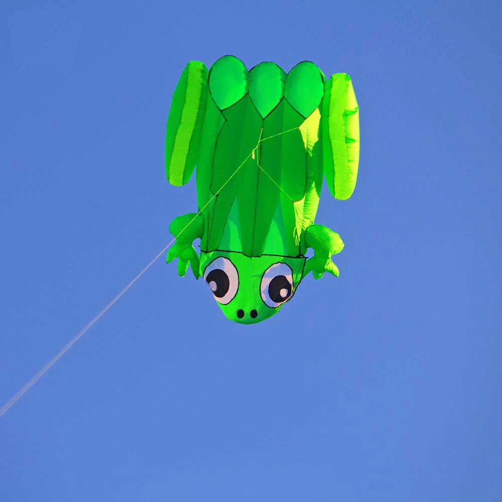 New High Quality 3D Single Line  Software Frog Kites Sports Beach With Kite Handle and String Easy to Fly