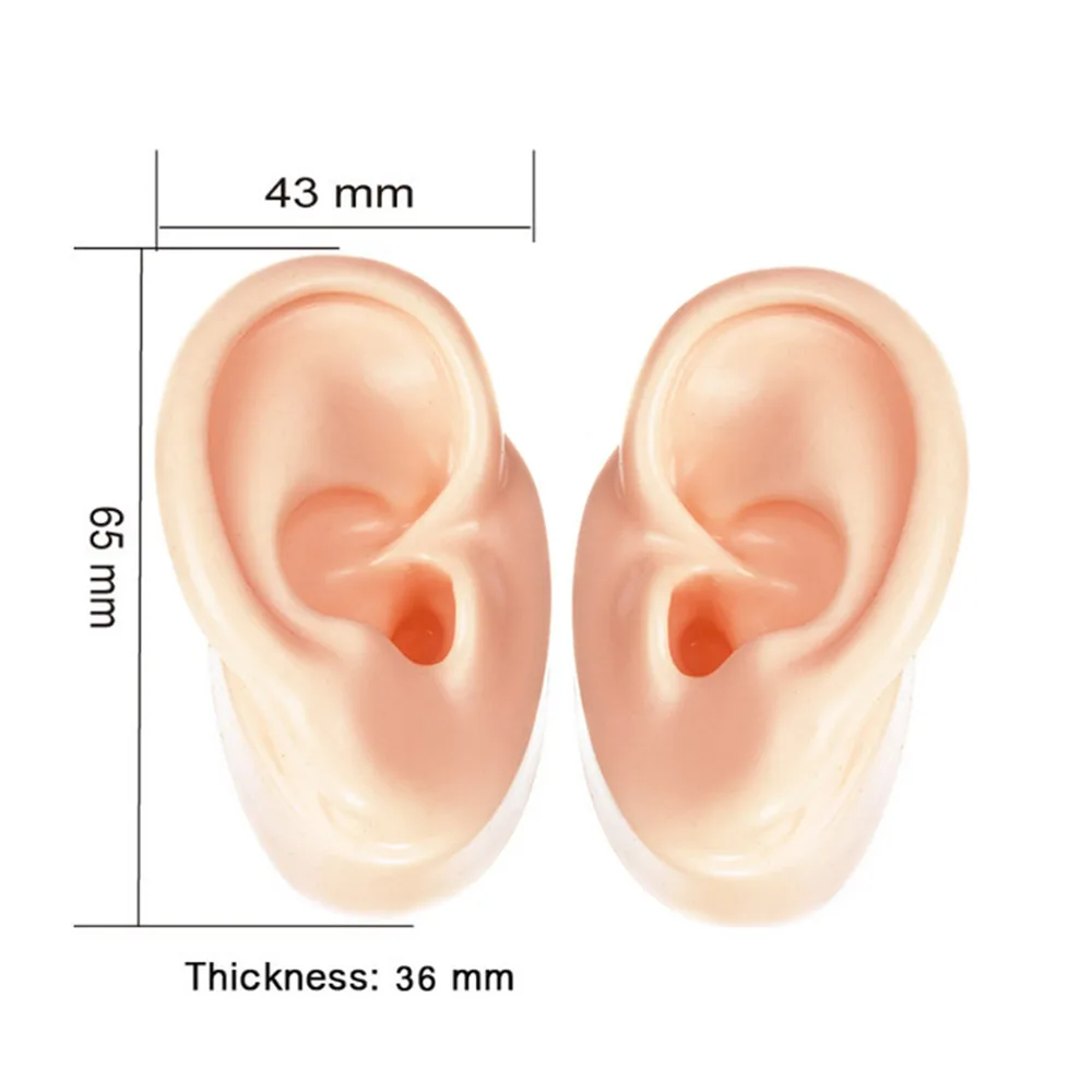 Soundlink 1 Pair Colorful Silicone Ear Model Demo Ear for Hearing Aids Display Ear Education Model