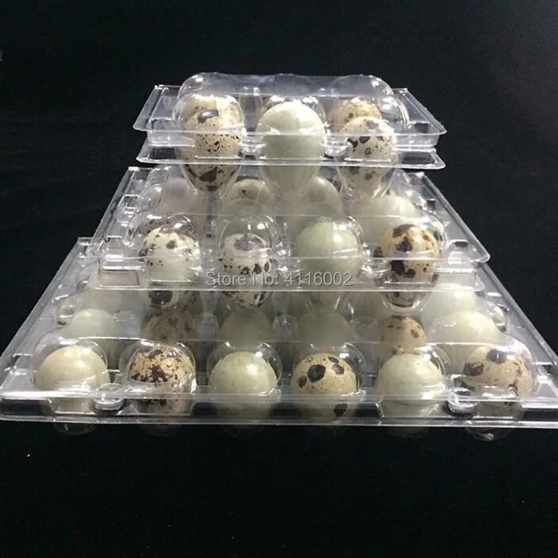 1800pcs 6 Holes Quail Eggs Container Plastic Boxes Clear Eggs Packing Storage Box Tray Retail Packing